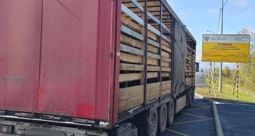 В Иркутской области задержали грузовики с десятками лошадей без документов