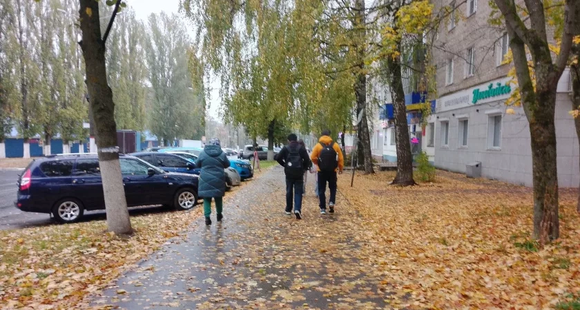 Синоптики дали окончательный ответ, будет ли "бабье лето": таких сюрпризов россияне не ожидали