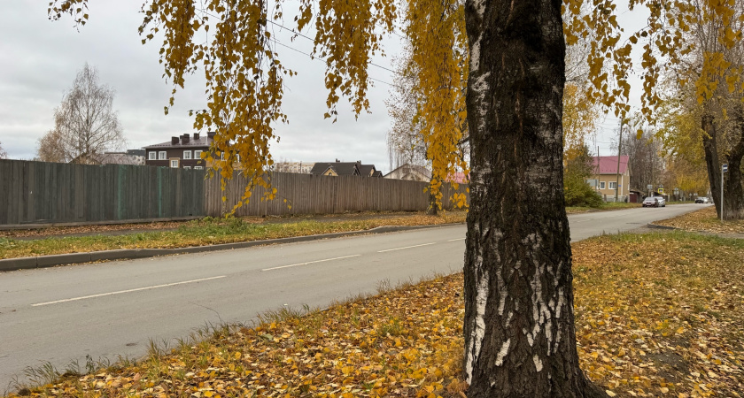Дожди и заморозки: синоптики рассказали о погоде в Иркутской области 18 сентября