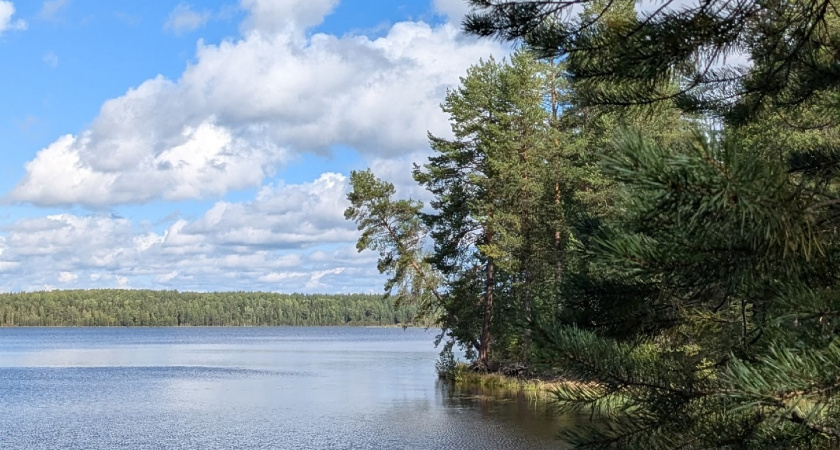 Активисты “Движения первых” из Усольского района исследовали Мыс желаний