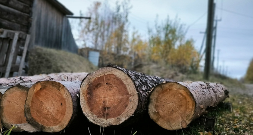 Директора фирмы в Иркутской области обвиняют в контрабанде леса в Узбекистан