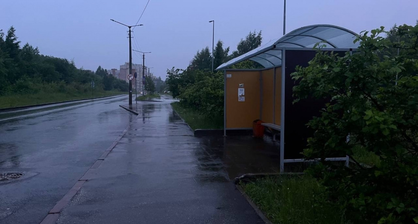 Маломобильные жители Усолья-Сибирского требуют установки остановок после ремонта дорог