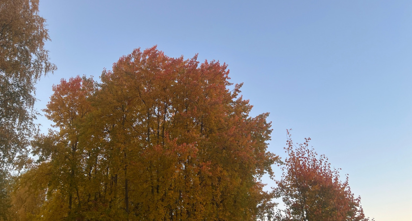 В Иркутской области 23 сентября ожидаются ночные заморозки и порывистый ветер