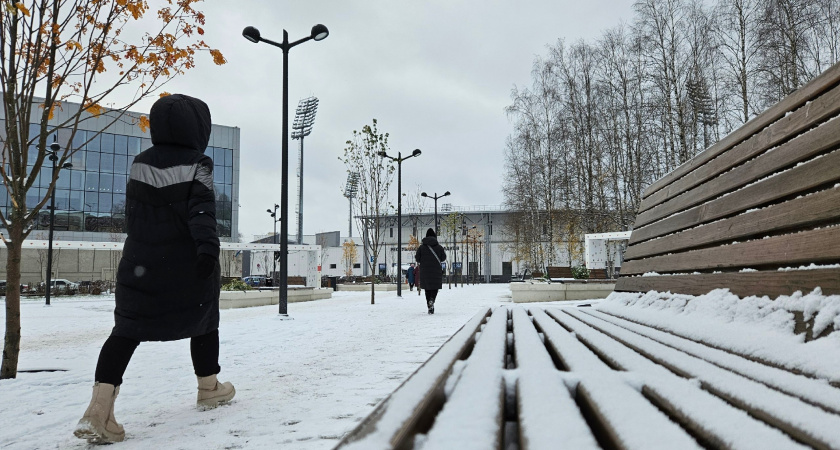 Какой будет зима 2025-2026 в России: прогноз погоды на декабрь, январь и февраль