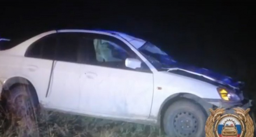 Пожилой мужчина за рулем Honda Civic погиб при столкновении с лошадью в Иркутской области 