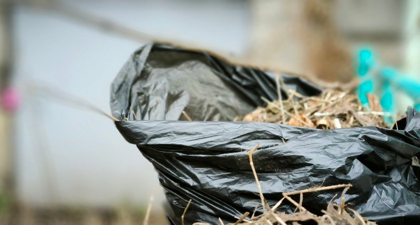 В Усолье-Сибирском объявили осенний месячник по благоустройству города