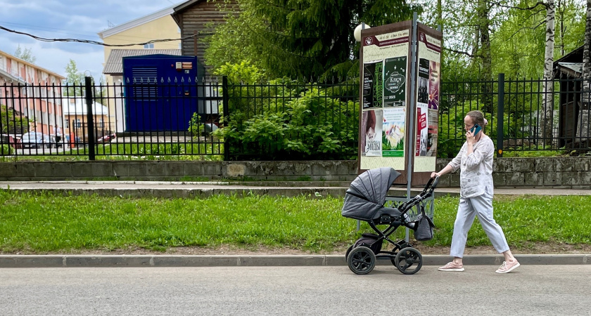 В Усолье-Сибирском семья с одиннадцатью детьми получила орден «Родительская слава»