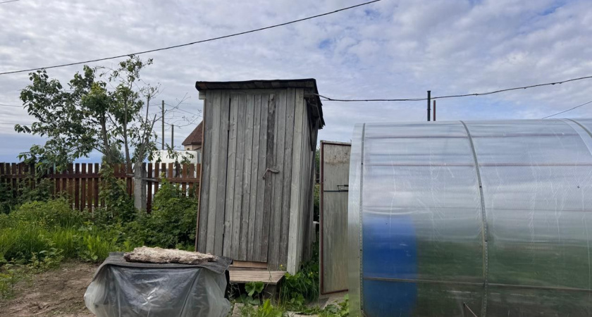 Горсть "порошка" в выгребную яму осенью — через три дня вонь исчезла: весной чистота — никакого запаха