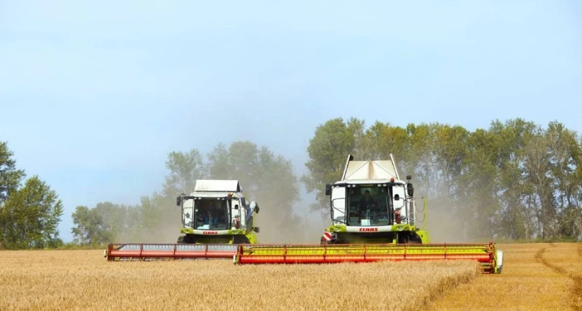 Иркутские фермеры подводят итоги сельскохозяйственного сезона