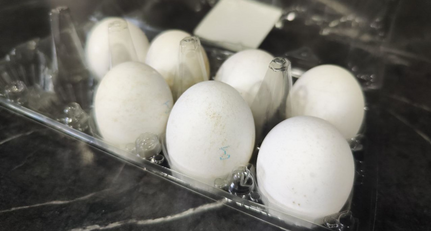 Почему яйца после варки нельзя класть в холодную воду – запомните раз и навсегда