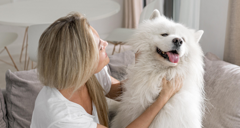Почему собаки обожают, когда их гладят — вот что чувствует ваш питомец