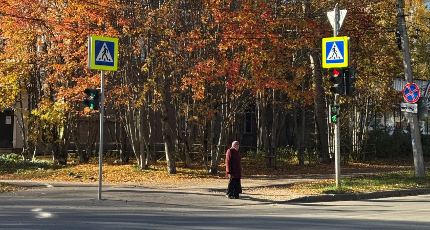 В Иркутской области 4 октября ожидаются осадки и ночные заморозки