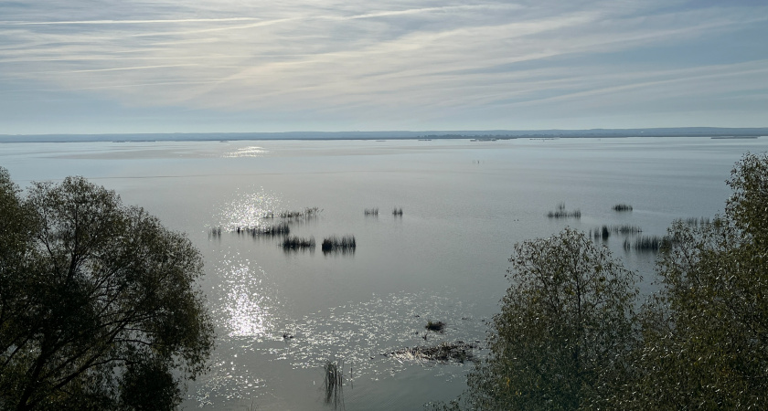 В Иркутской области обсудили охрану водных биоресурсов и борьбу с браконьерством