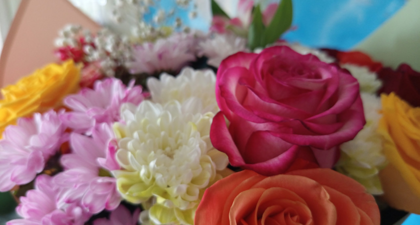 В Иркутской области губернатор поздравил педагогов с Днём учителя