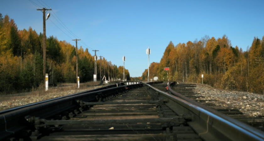 Грузовой состав насмерть сбил мужчину в Усольском районе