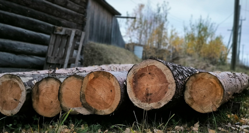 В Иркутске осудили отца с сыном за контрабанду леса в Китай