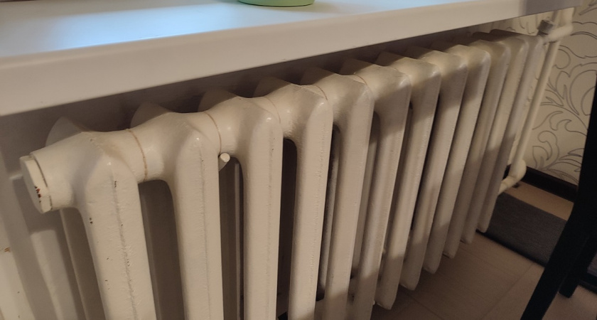 С первыми заморозками кладу лист лавушки на батарею — и живу без бед: вот что происходит — вся семья замечает разницу