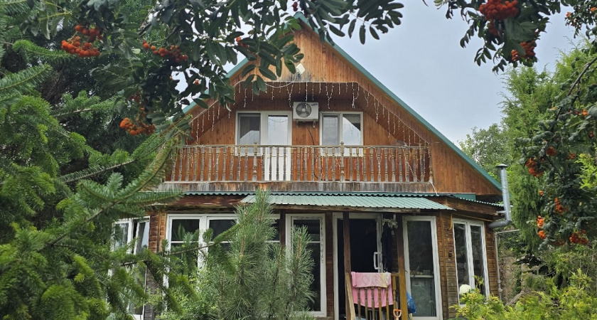 Ботву больше не сжигаю. Ведь это дармовое удобрение для шикарного урожая - вы не знали