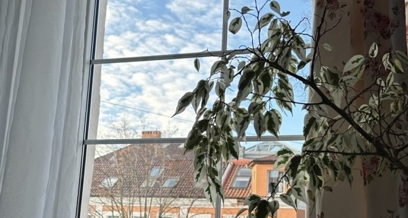 1 колпачок в воду — и окна мыть до осени не нужно: сияют чистотой как слеза, никаких разводов — лайфхак