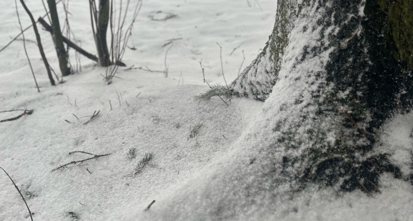 В Иркутской области 10 октября ожидается мокрый снег и похолодание