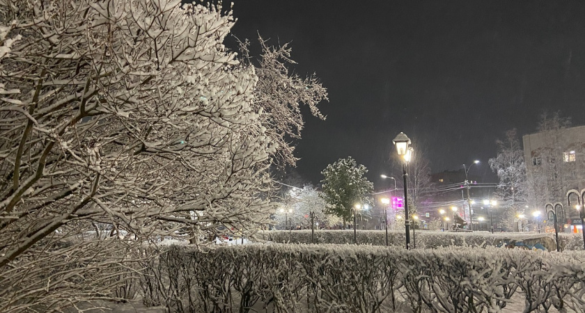 Студеный январь и кое-что похуже. Вильфанд рассказал о предстоящих аномалиях