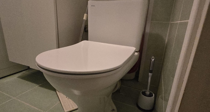 Как быстро устранить неприятный запах в туалете: рабочие методы и совет от профессионала