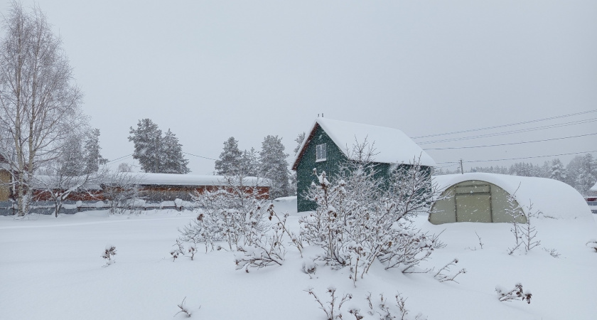 В Иркутской области 14 октября ожидается снег и усиление ветра