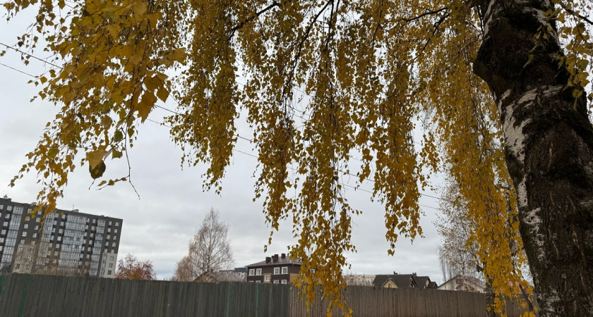 Приближается самый холодный день: Роман Вильфанд прогнозирует снег и заморозки в октябре