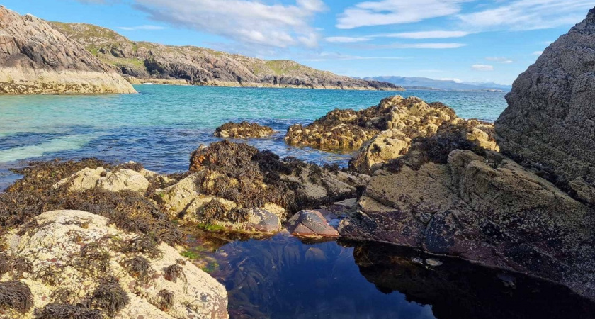 «У меня дар речи пропал от такой наглости и хамства»: правдивый отзыв туристки из России о своем отдыхе в Абхазии