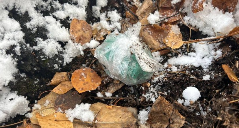 В Иркутской области задержали двух иностранцев при сбыте запрещенных веществ