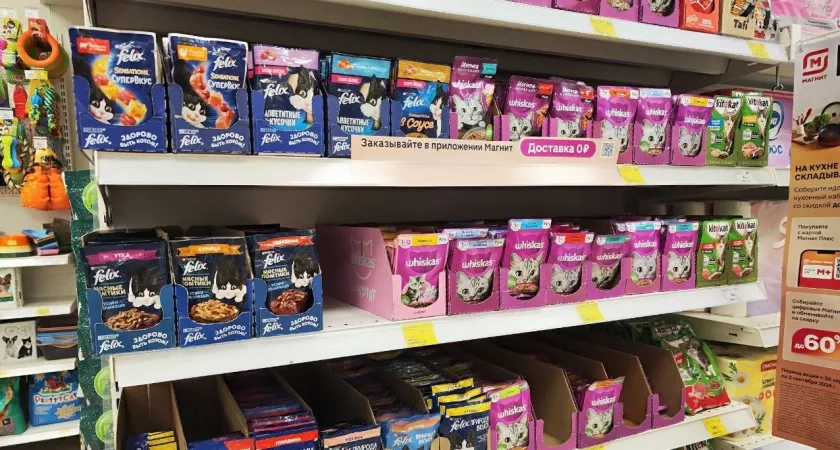 Эксперты Роскачества назвали лучший корм для кошек: не бьет по кошельку — берите сразу по 10 пачек