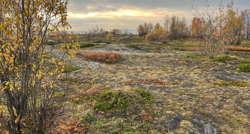 В Иркутской области ожидается понижение температуры