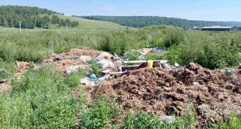 В Иркутской области выявили незаконные свалки объёмом семь тысяч кубометров мусора