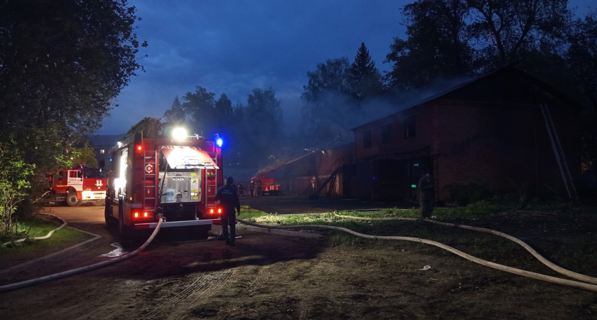 Два школьника устроили крупный пожар на ферме в Усольском районе