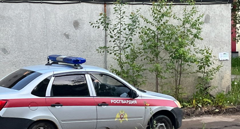 В Усолье-Сибирском жители сдают оружие за денежное вознаграждение