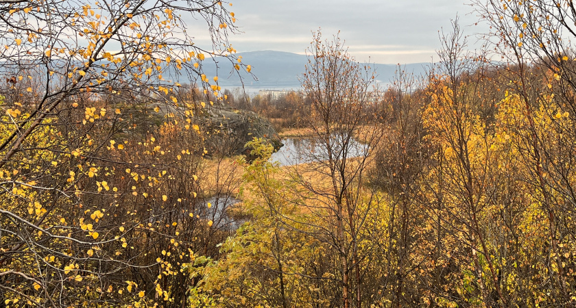 В Иркутской области 26 октября ожидается переменная облачность и слабые морозы