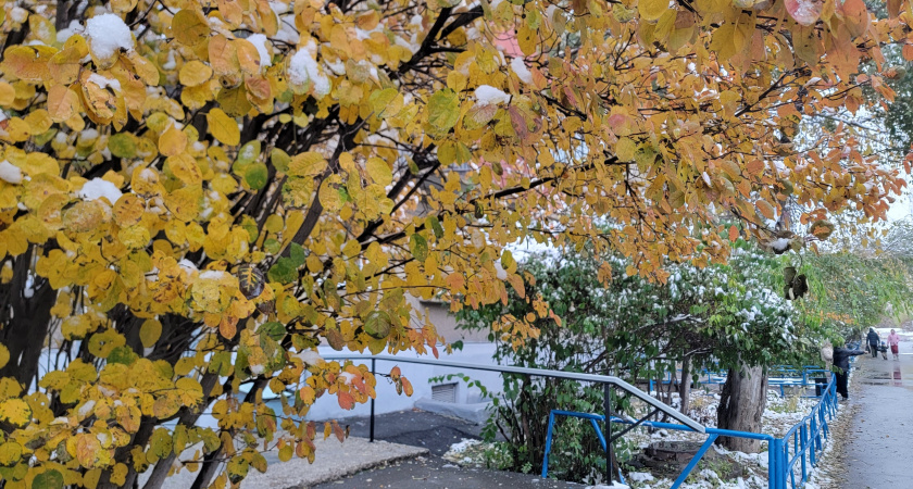 В Иркутской области 28 октября ожидается сильный ветер и снегопад