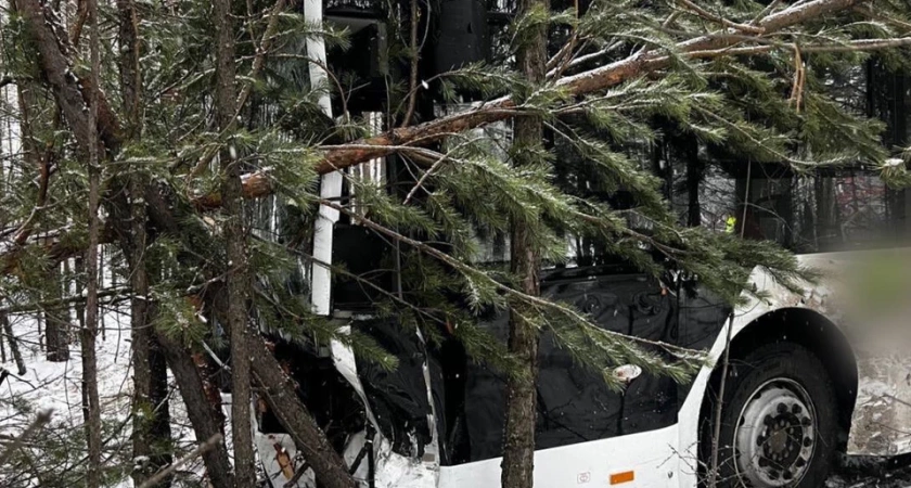 В Иркутской области автомобиль выехал на встречную полосу и столкнулся с двумя автобусами