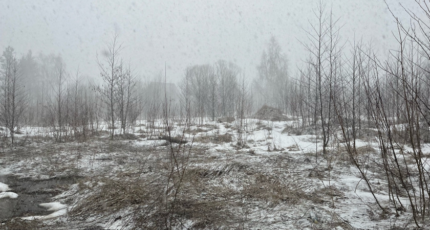 Иркутскую область 31 октября накроют снегопады и морозы