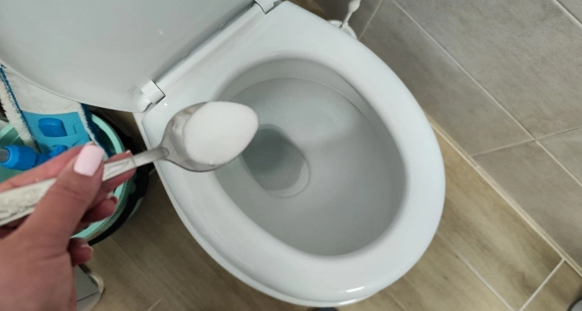 Заливаю этим унитаз на ночь — к утру сверкает, как будто в стразах: тайный раствор горничных