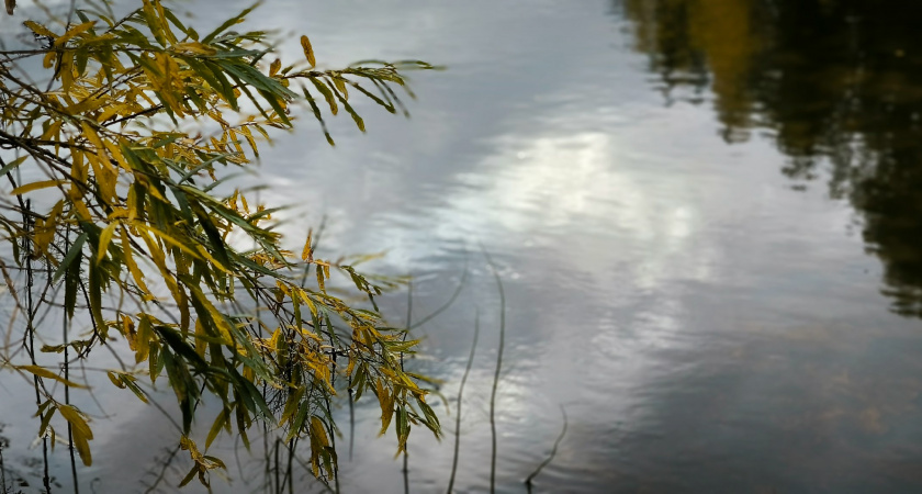 В Иркутской области проверяют информацию о сбросе сточных вод в водохранилище