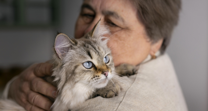Людям старше 65 лет стоит держаться подальше от кошек: ученые рассказали почему