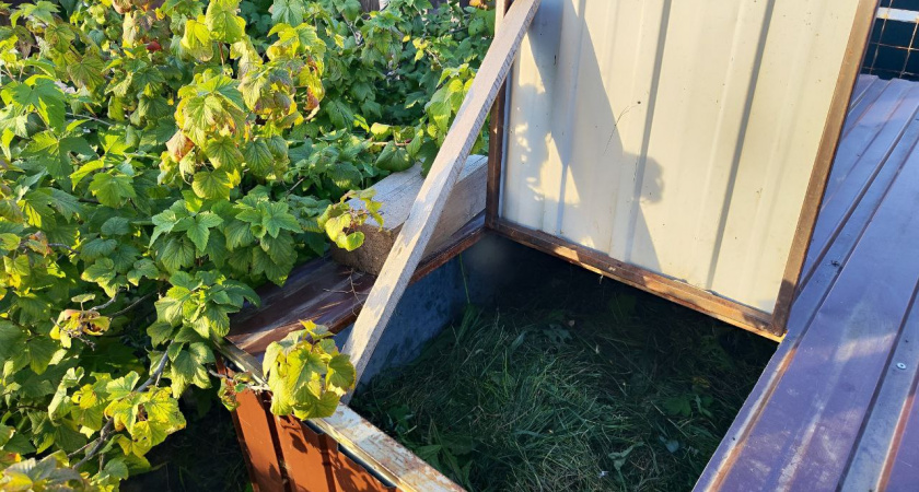 За зиму перегниют и толстые ветки, и ботва: вот как я ускоряю компост - на заметку каждому дачнику