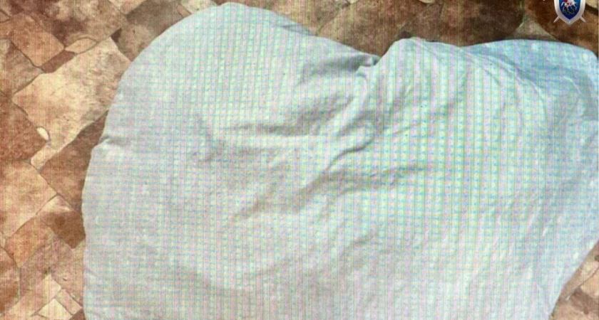 В Иркутской области мужчина осужден на 7,5 лет за удушение сожительницы