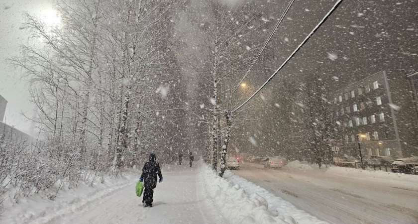 В Иркутской области 7 ноября ожидается сильный снег и порывистый ветер