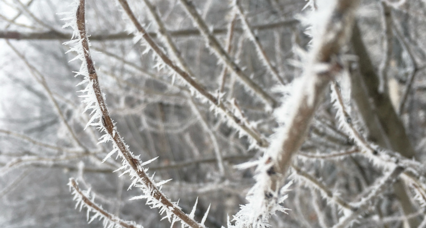 В Иркутской области 13 ноября ожидается снег и сильные морозы