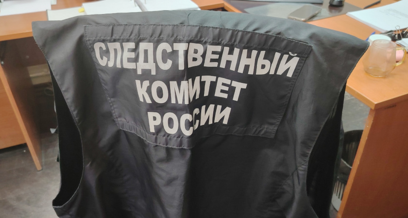 В Иркутской области подростки прижгли одноклассницу утюгом