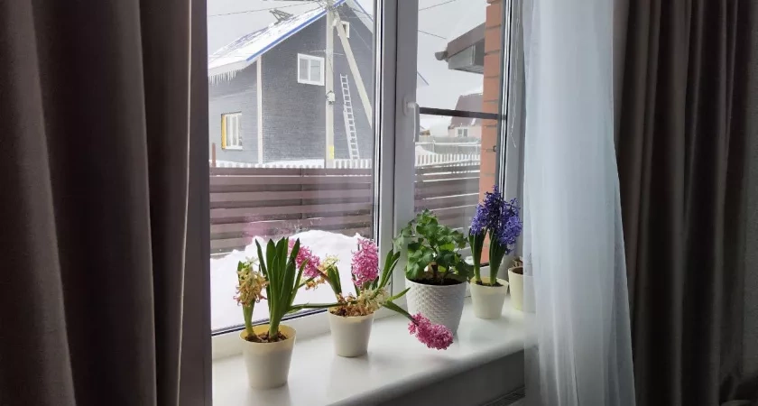 Подоконник больше не холодный, и перестало дуть из стыков: три шага и дома тепло даже в - 40