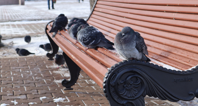 Снег и холодный ветер: синоптики рассказали о погоде в Иркутской области 17 ноября