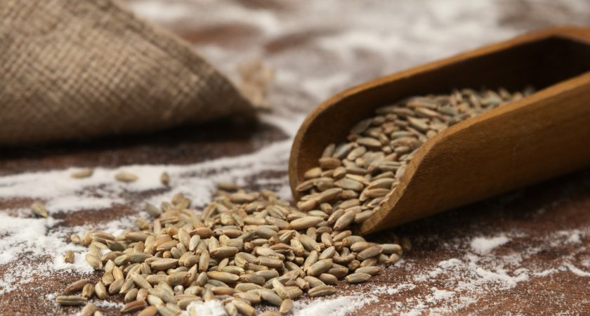 В Иркутской области выявили массовые нарушения в декларировании зерна